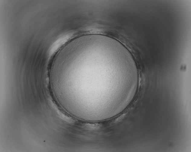 X0000110910245200907021442