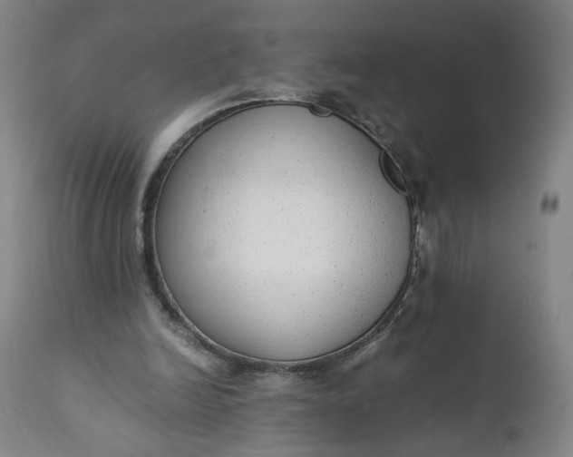 X0000110910246200907021442