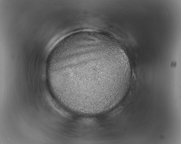 X0000110910247200907021442