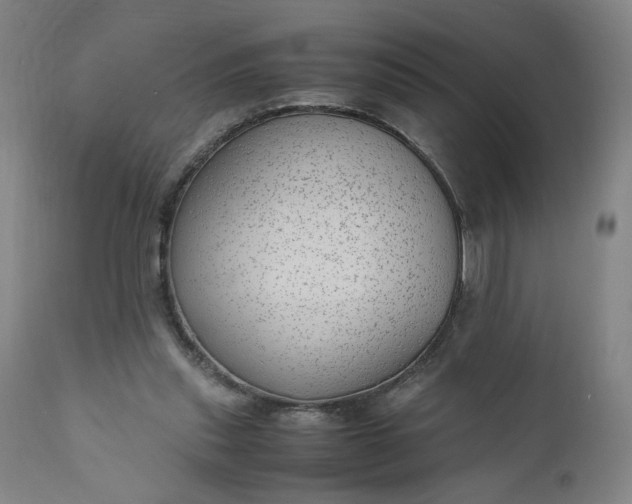 X0000110910253200907021442