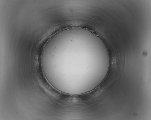 X0000110910254200907021442