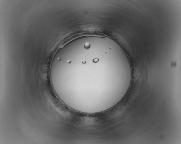 X0000110910255200907021442