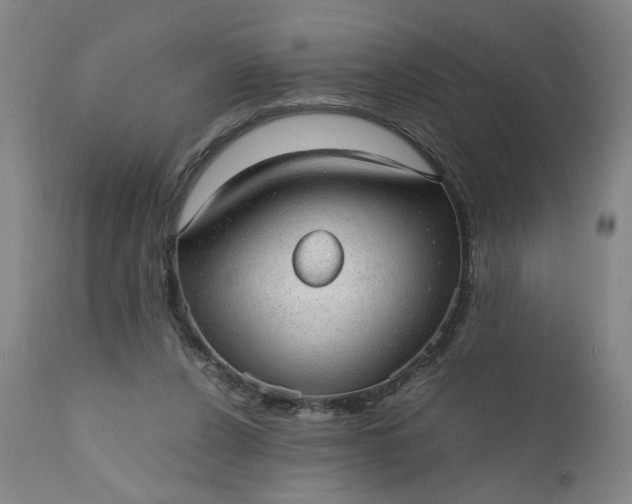 X0000110910256200907021442