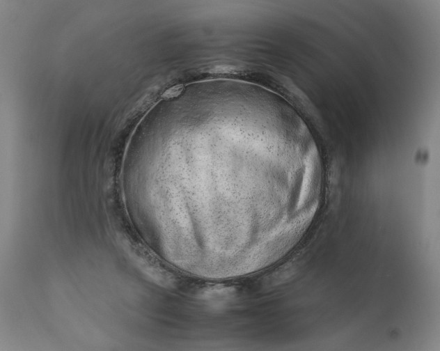 X0000110910257200907021442