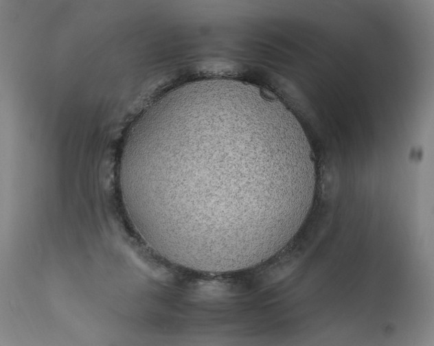 X0000110910259200907021442