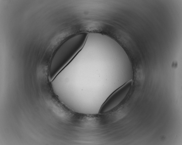 X0000110910260200907021442