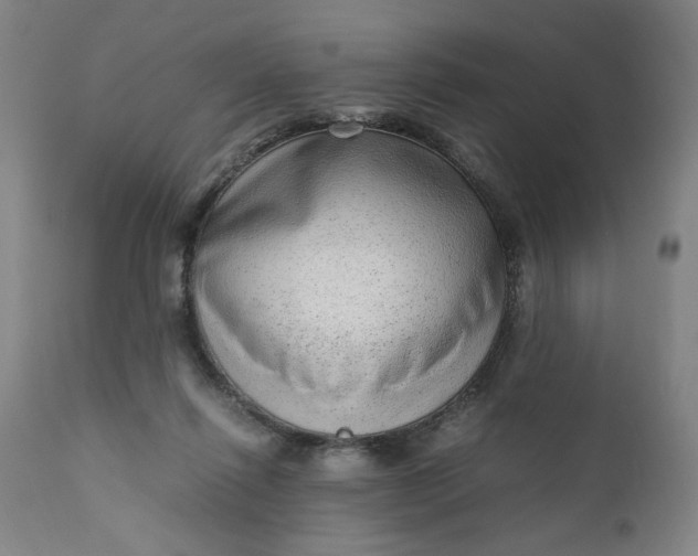 X0000110910262200907021442