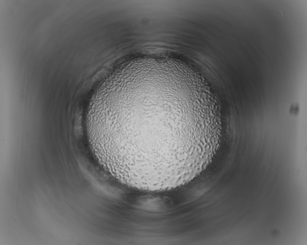 X0000110910267200907021442