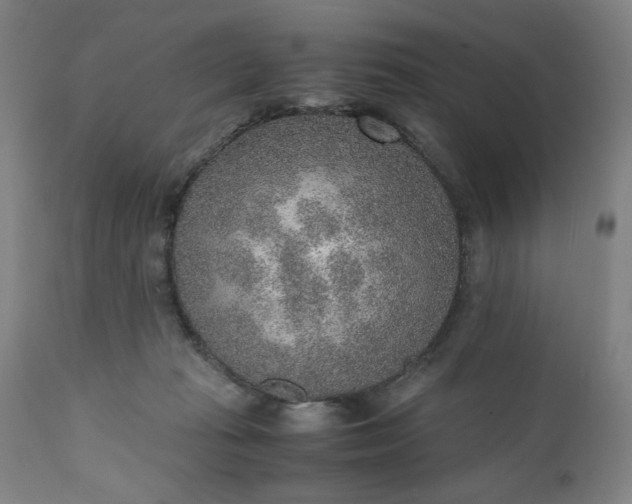 X0000110910269200907021442