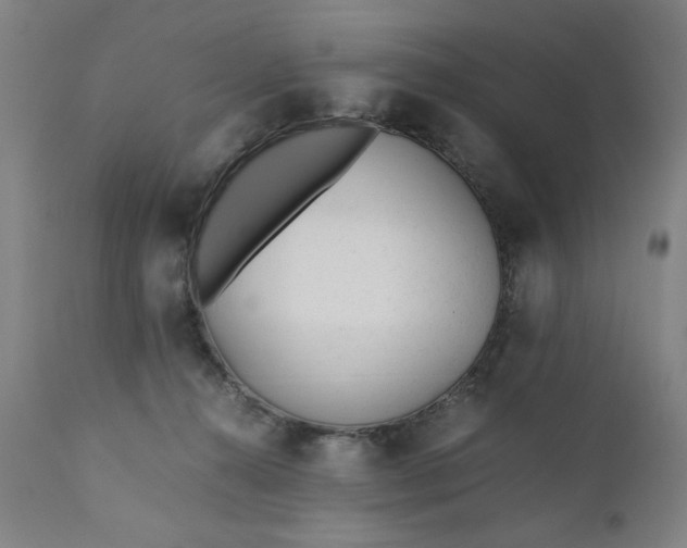 X0000110910272200907021442