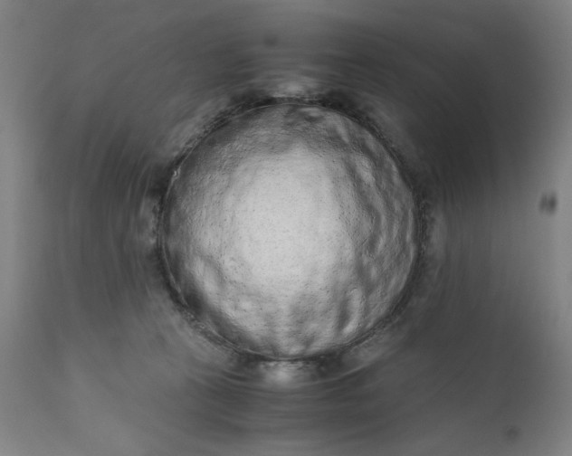 X0000110910273200907021442