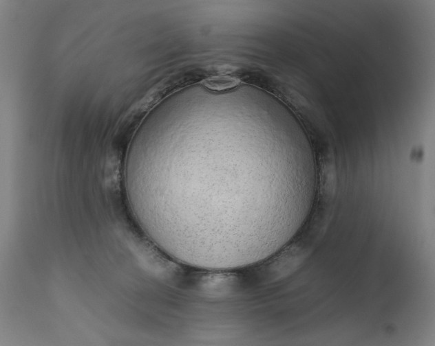 X0000110910274200907021442