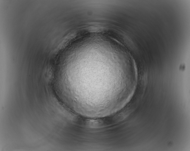 X0000110910277200907021442