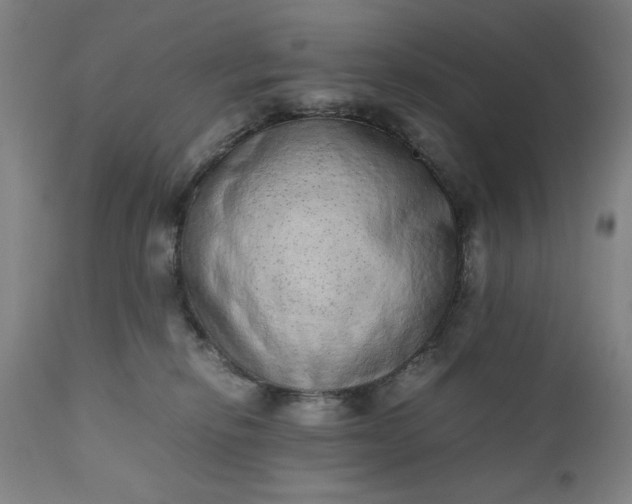 X0000110910278200907021442