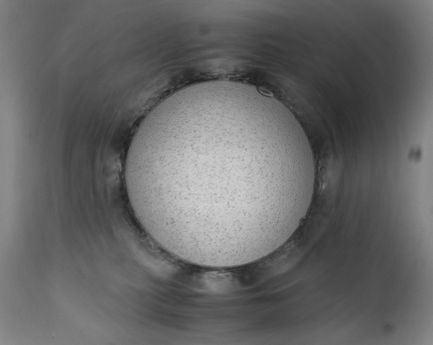 X0000110910279200907021442