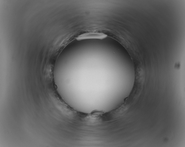 X0000110910280200907021442