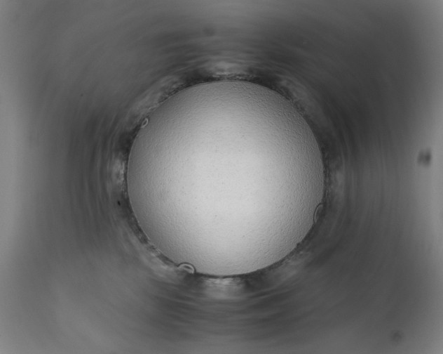 X0000110910281200907021442