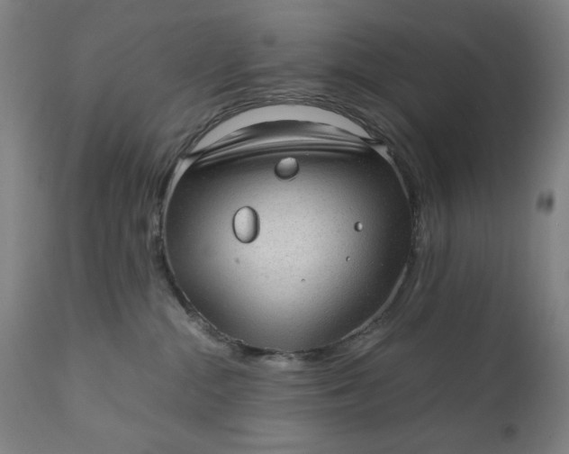 X0000110910284200907021442