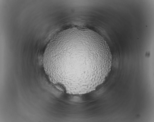 X0000110910285200907021442