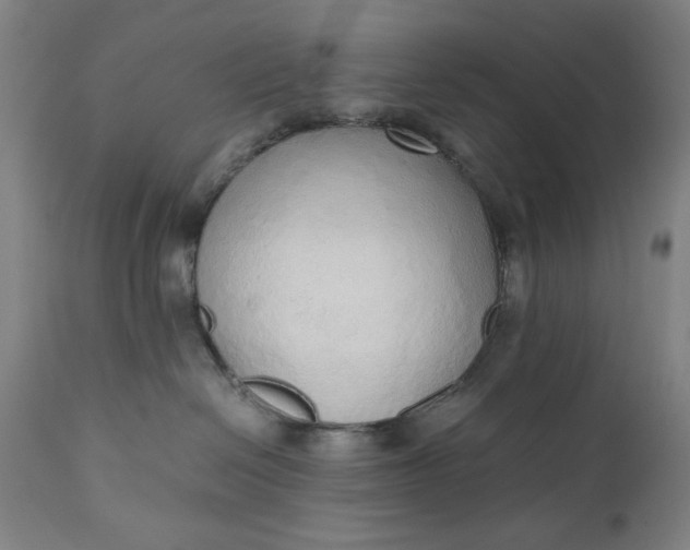 X0000110910286200907021442