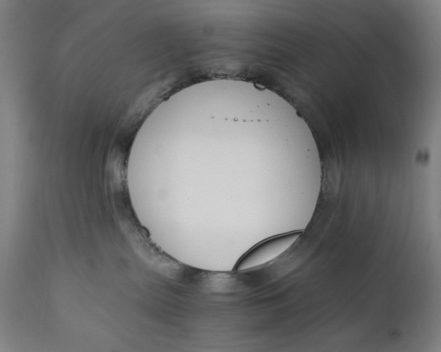 X0000110910287200907021442