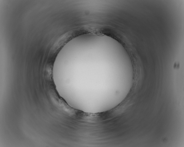 X0000110910288200907021442