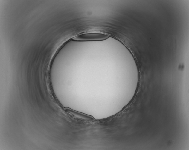 X0000110910289200907021441