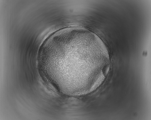 X0000110910290200907021441