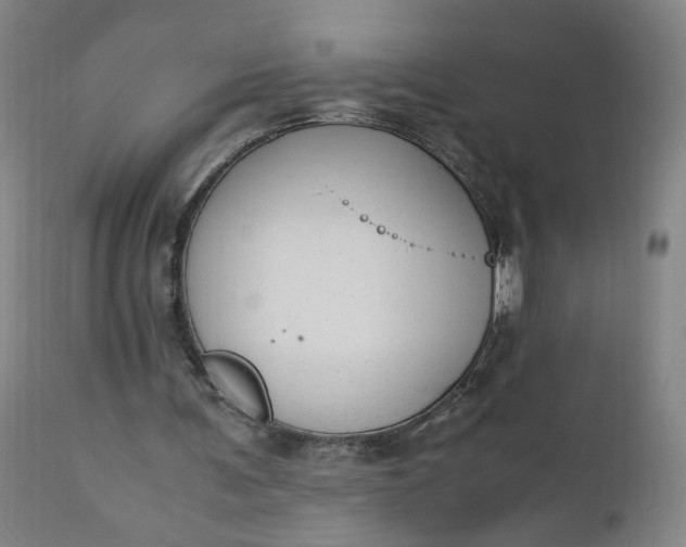 X0000110910291200907021441