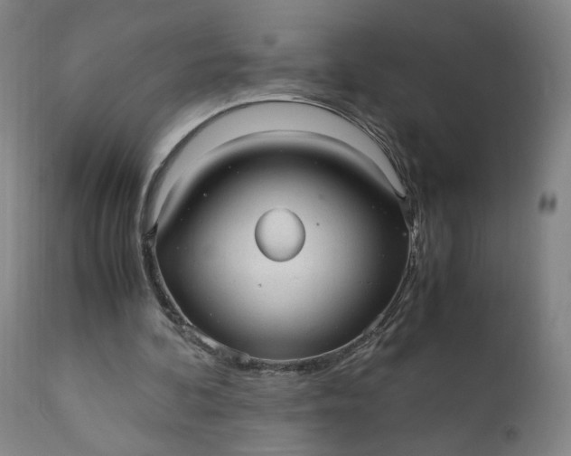 X0000110910292200907021441