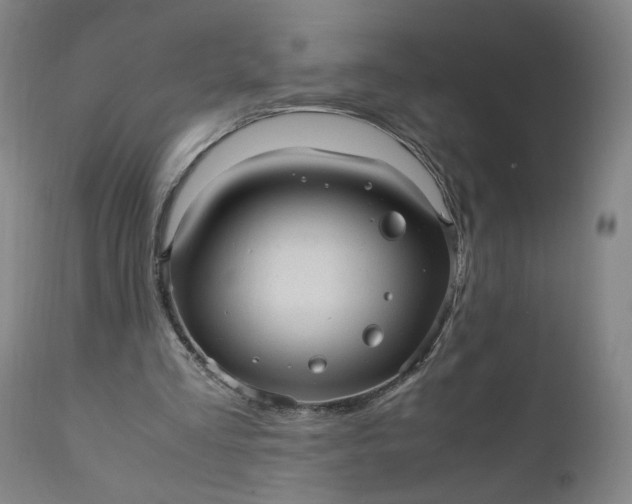 X0000110910293200907021441