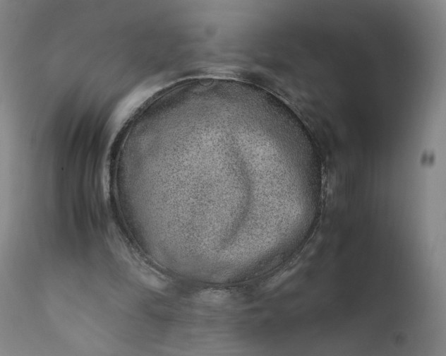 X0000110910294200907021441