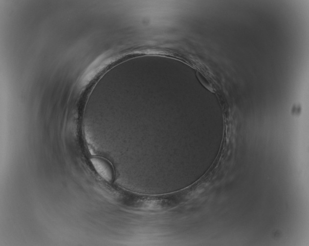 X0000110910295200907021441