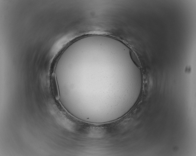 X0000110910296200907021441