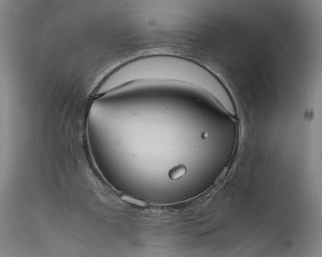 X0000110910297200907021441