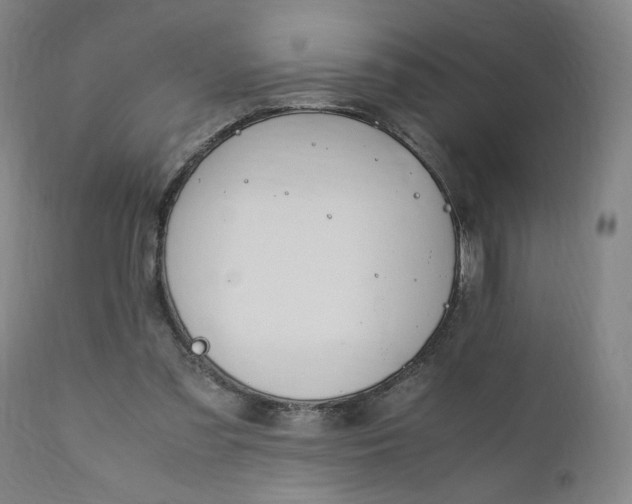 X0000110910301200907021441