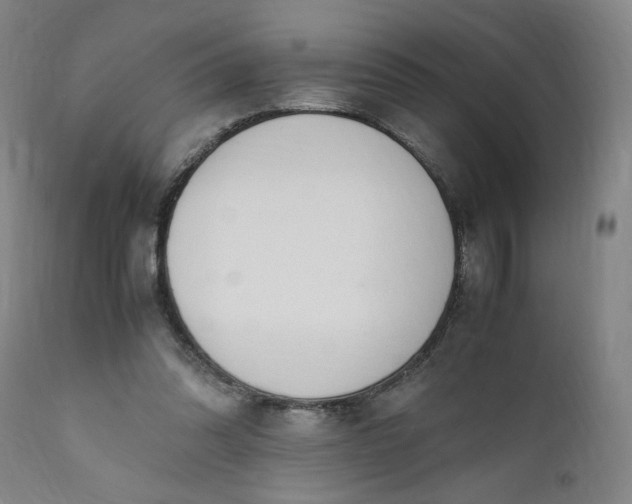 X0000110910302200907021441