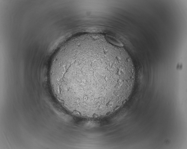 X0000110910303200907021441