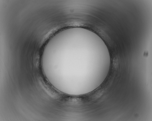 X0000110910304200907021441