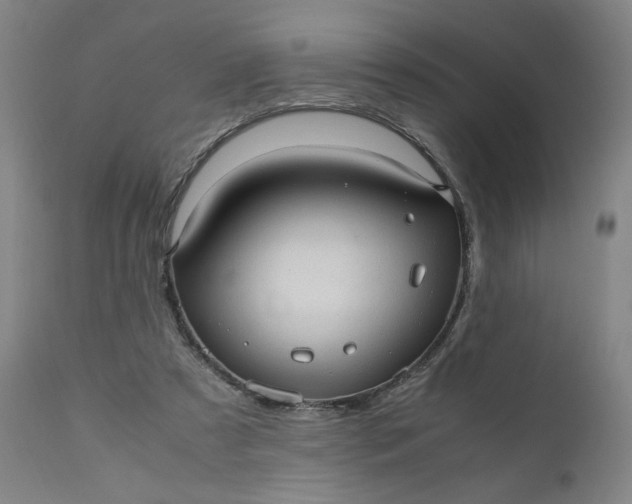 X0000110910305200907021441