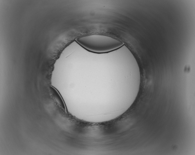 X0000110910307200907021441