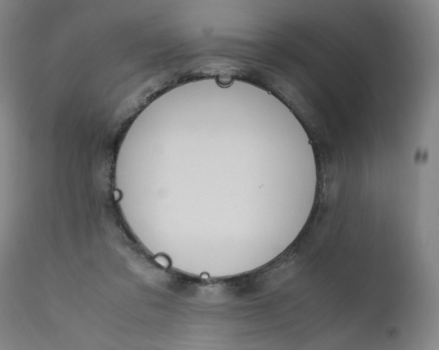 X0000110910309200907021441