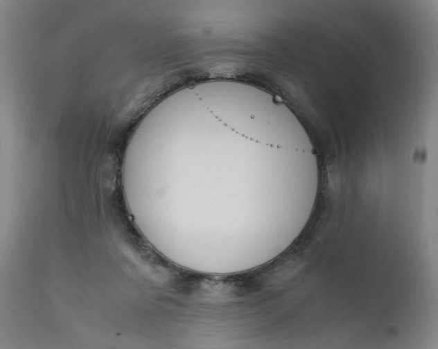 X0000110910311200907021441