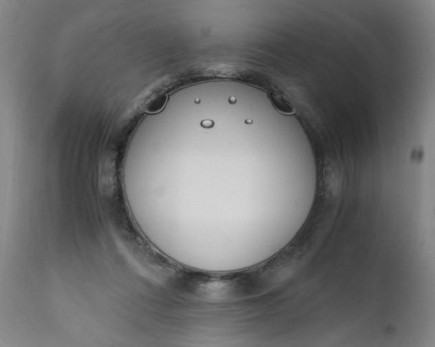 X0000110910312200907021441