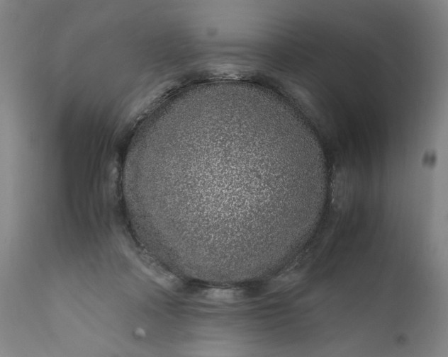 X0000110910314200907021441