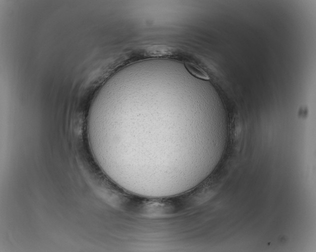 X0000110910315200907021441