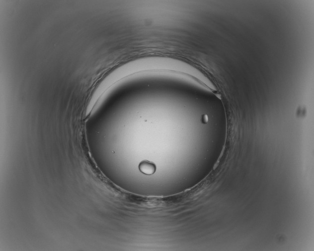 X0000110910317200907021441