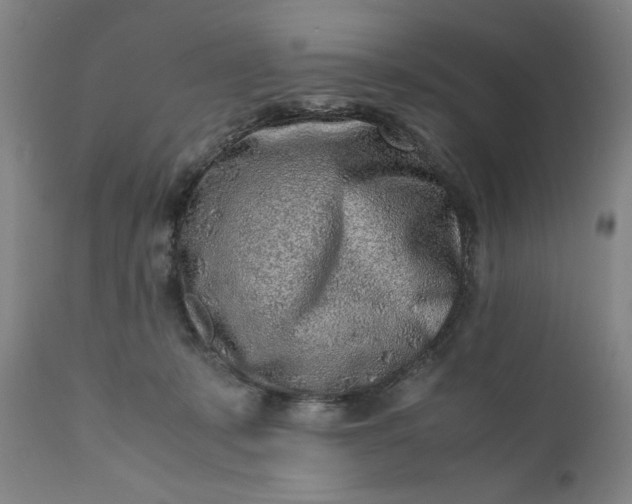 X0000110910319200907021441