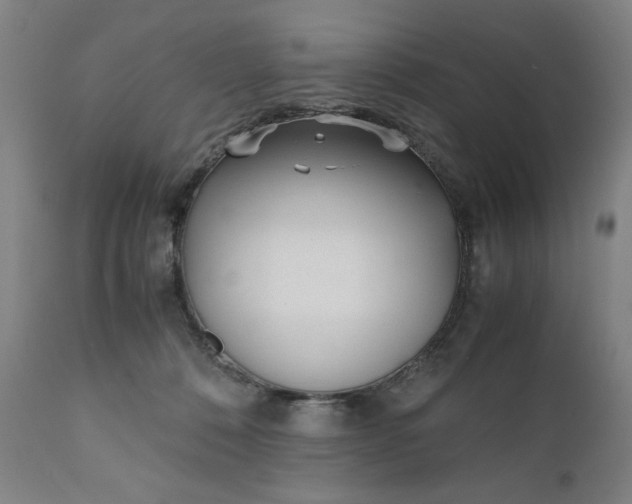 X0000110910320200907021441