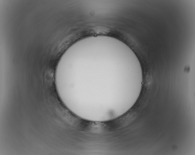 X0000110910321200907021441